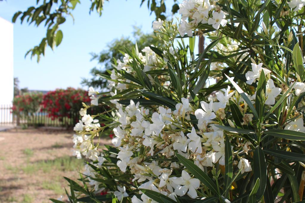 Cortijo La Panadera Vendégház Pozoblanco Kültér fotó
