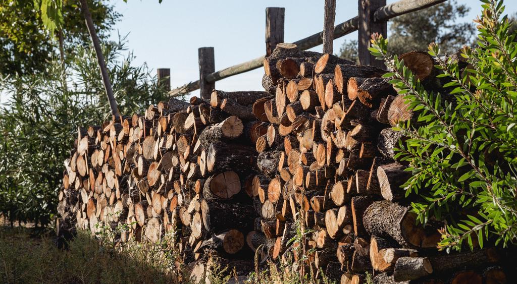Cortijo La Panadera Vendégház Pozoblanco Kültér fotó