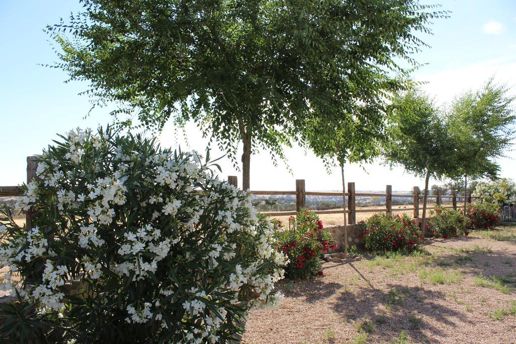 Cortijo La Panadera Vendégház Pozoblanco Kültér fotó