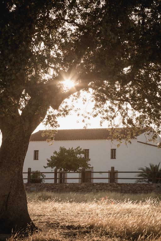Cortijo La Panadera Vendégház Pozoblanco Kültér fotó