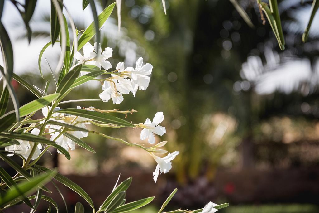Cortijo La Panadera Vendégház Pozoblanco Kültér fotó