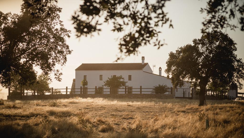 Cortijo La Panadera Vendégház Pozoblanco Kültér fotó