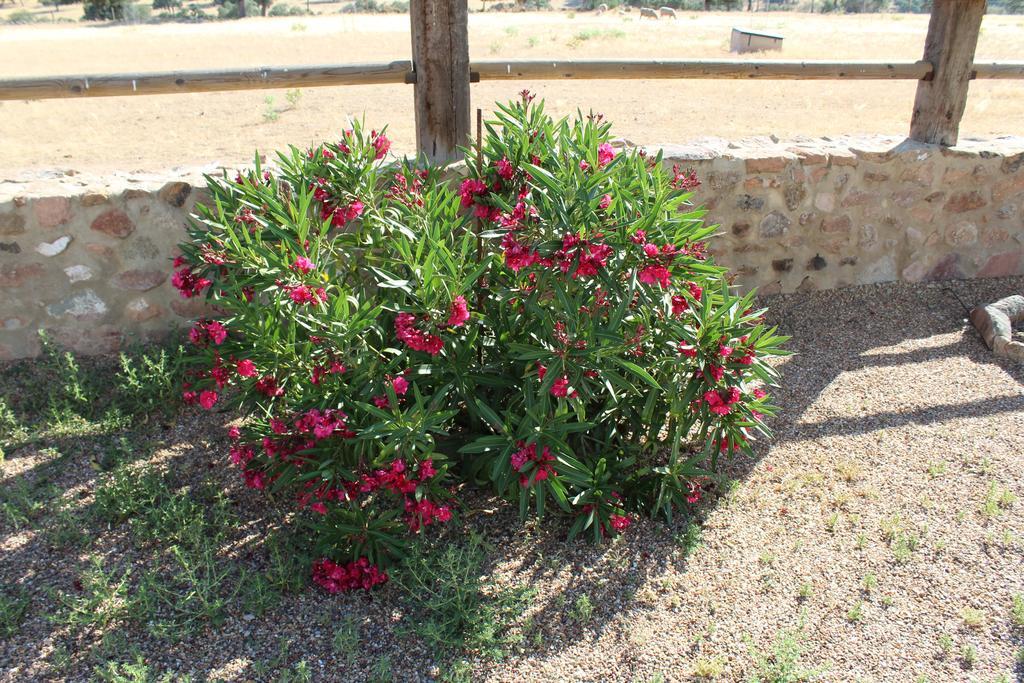 Cortijo La Panadera Vendégház Pozoblanco Kültér fotó