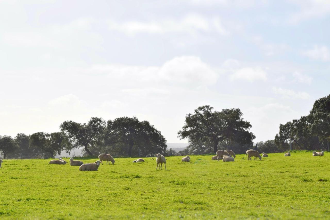 Cortijo La Panadera Vendégház Pozoblanco Kültér fotó